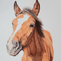 Karen Frampton, New Forest Artist, paintings, greeting cards, murals, slate, Hampshire, UK